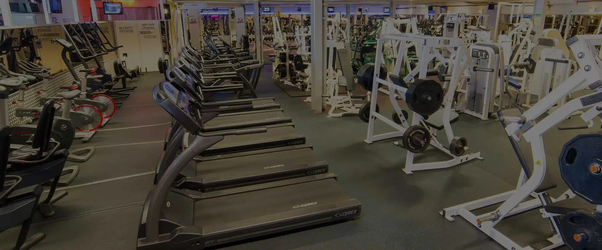 Majestic Gym