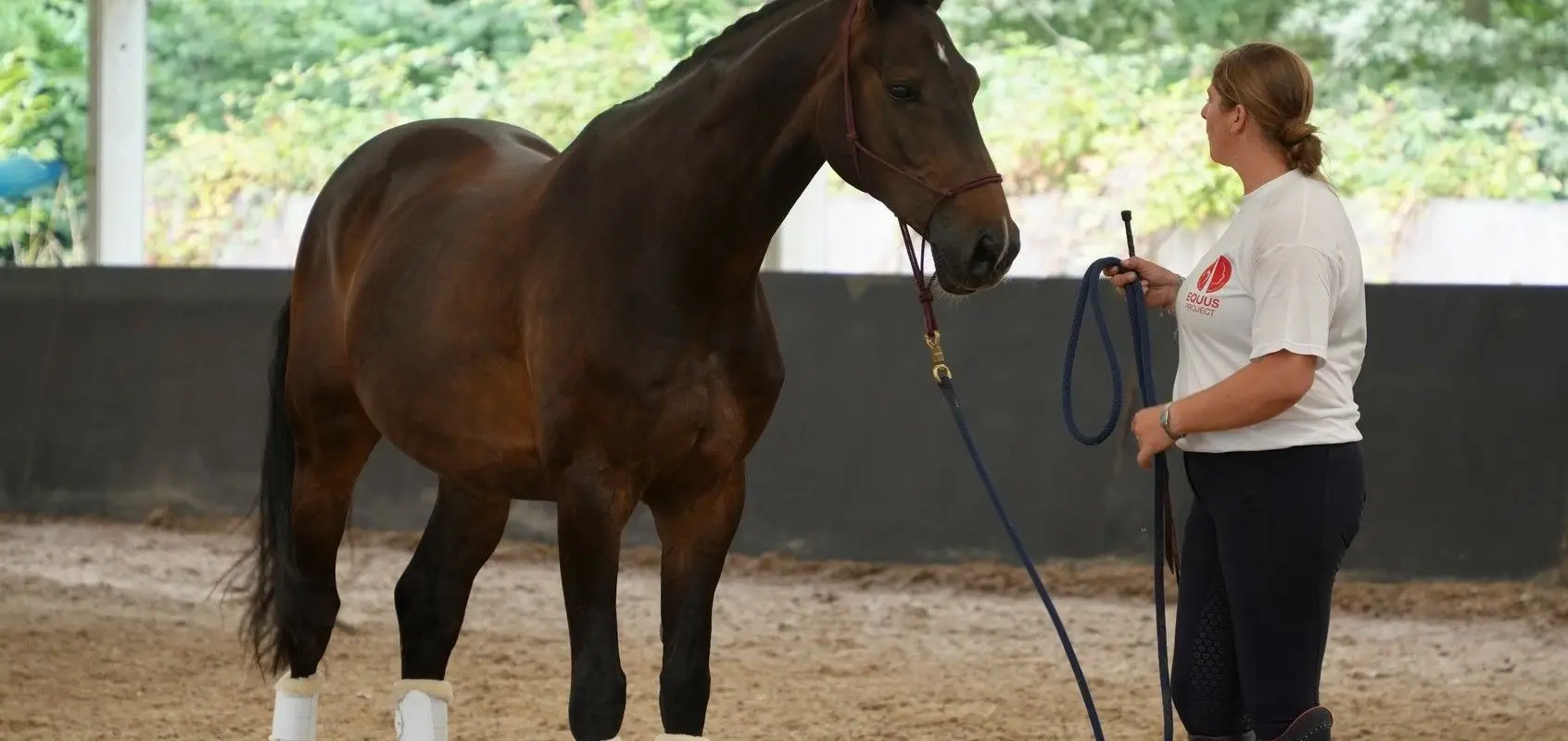 Equus Land Rohan