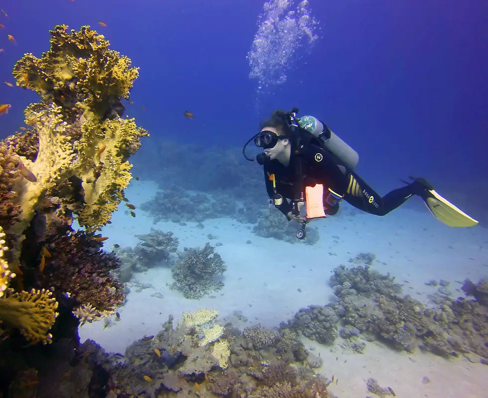 Learn Scuba Diving London