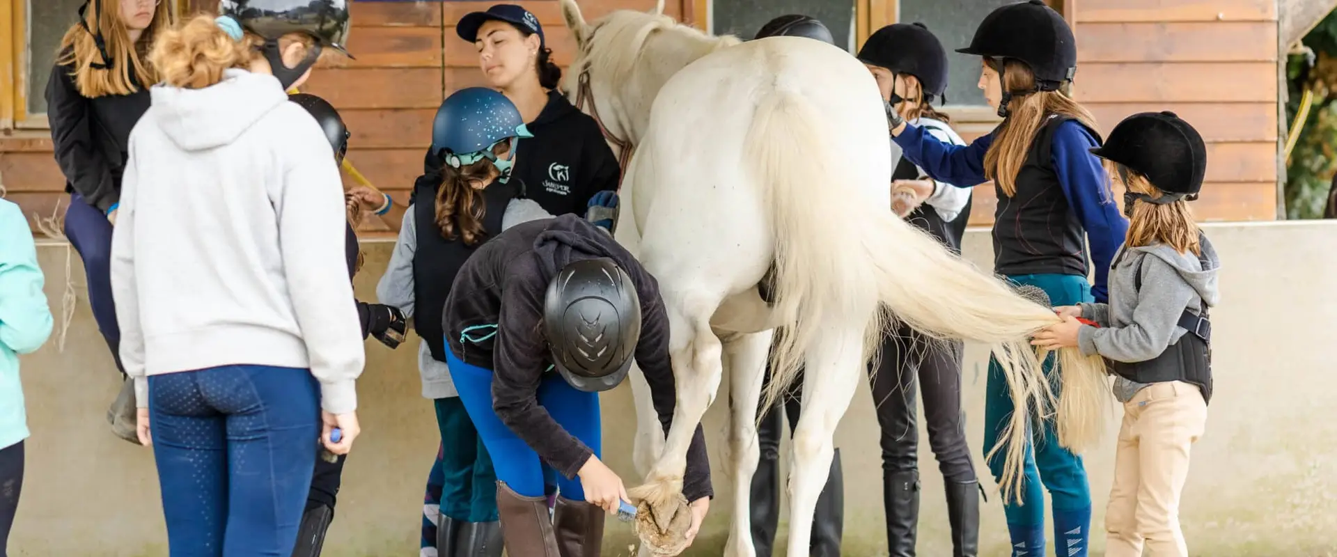 Equestrian Center Bretagne