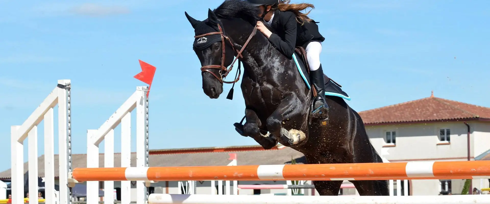 Saumur Horse Ball Europe