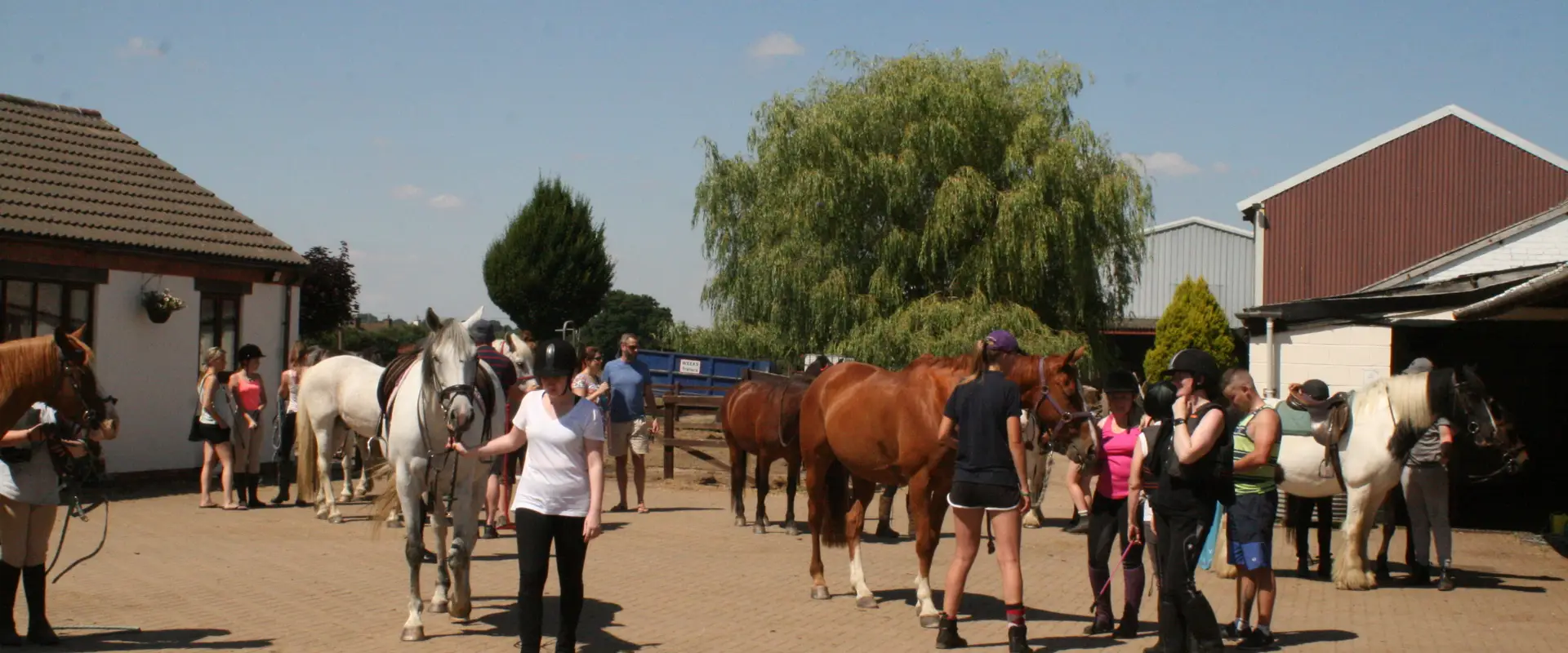 Willow Farm Equestrian Centre