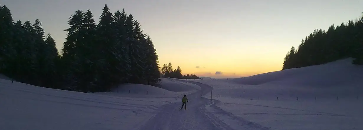 Le Haut Saugeais Blanc