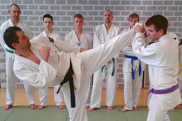 Hosinsul - Allkampf-Taekwondo in Augsburg