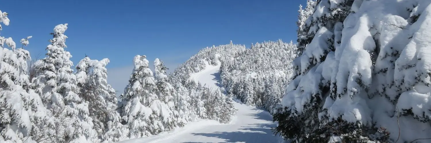 Bytown Ski Club