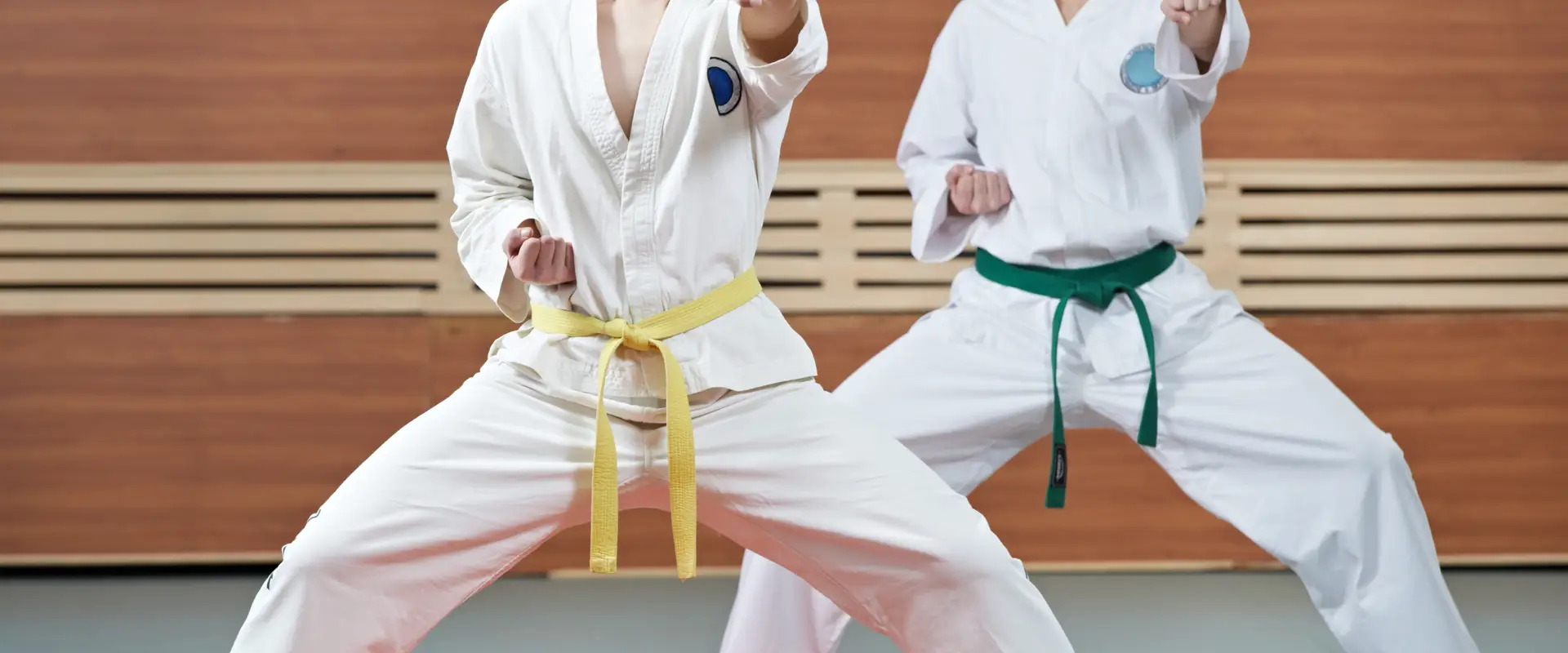 Hiltz Taekwon-do