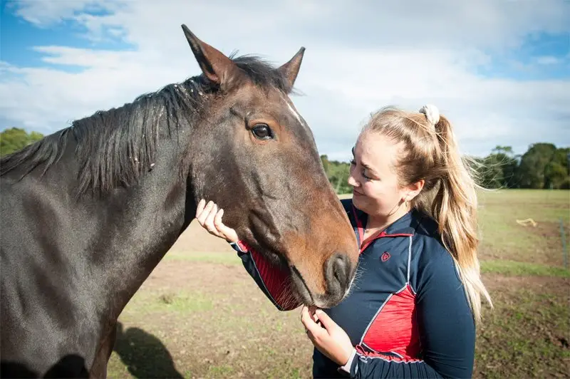 Apples Equestrian