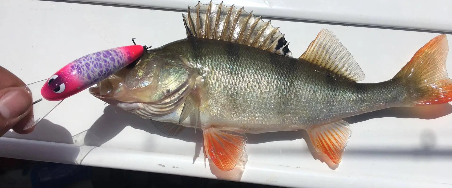 Smak Lures - Custom Made Fishing Lures