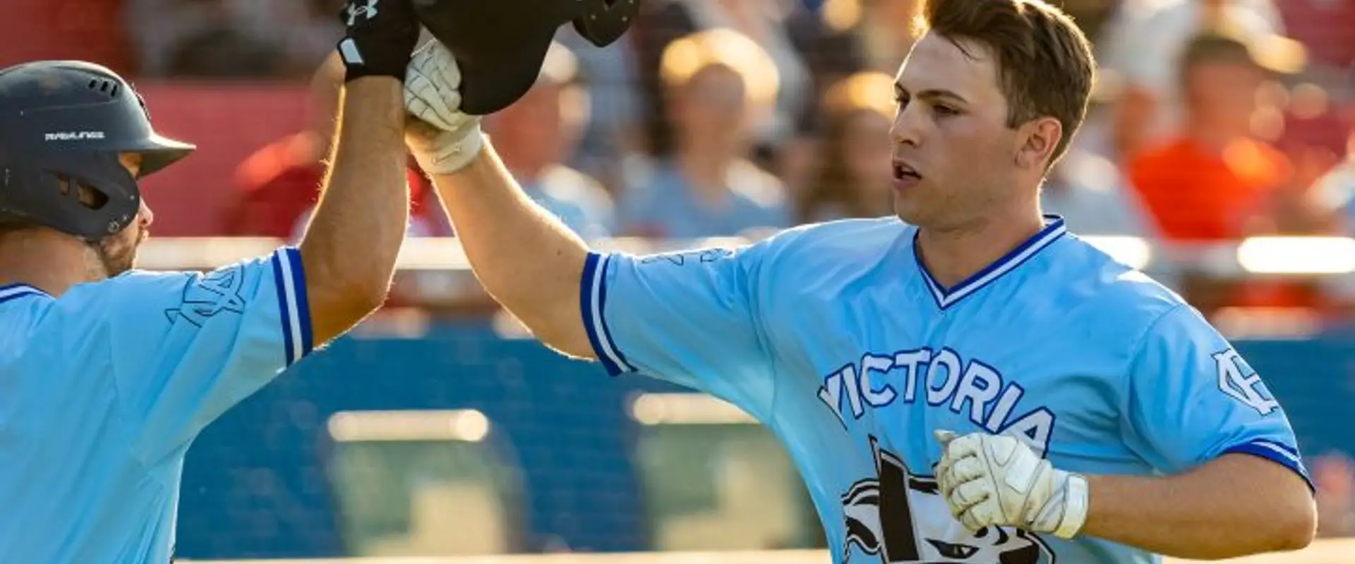 Victoria HarbourCats Baseball Club