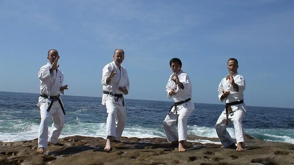 Koryu Kei Shin Kan Karate-Do