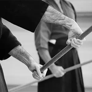 Jodo (bâton japonais) Kenjutsu (sabre)