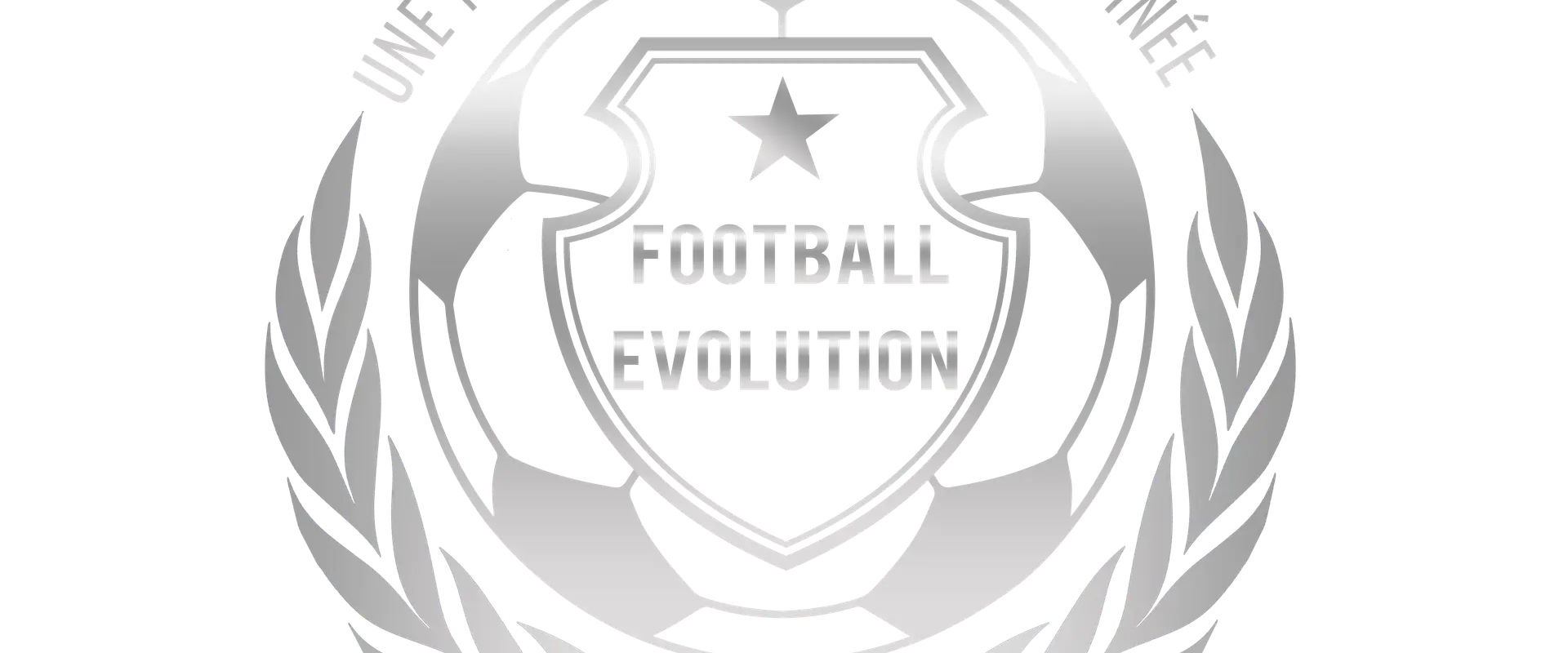 Football Evolution