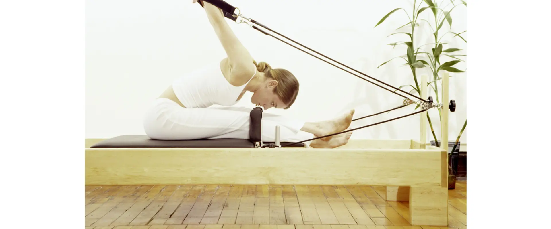 Flow Physio