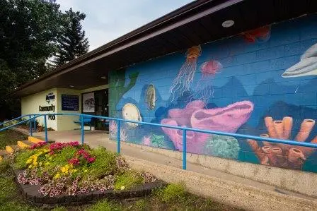 Devon Swimming Pool