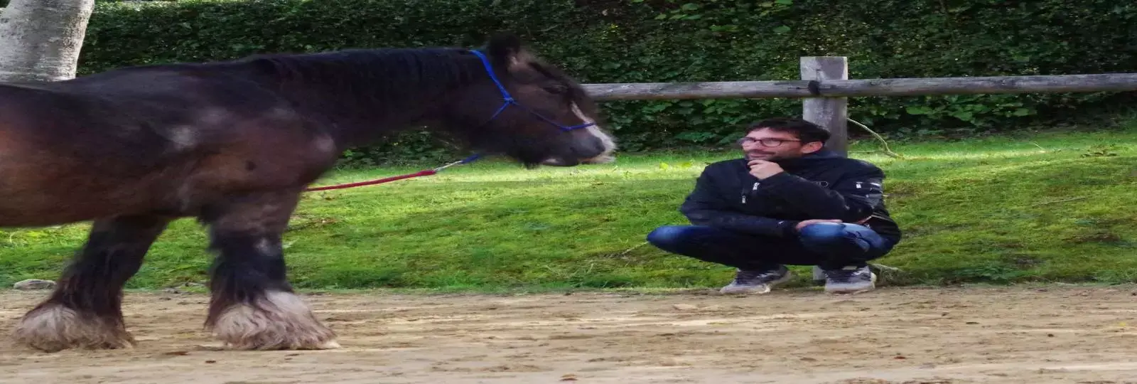 Association du Centre Equestre De Gennevilliers