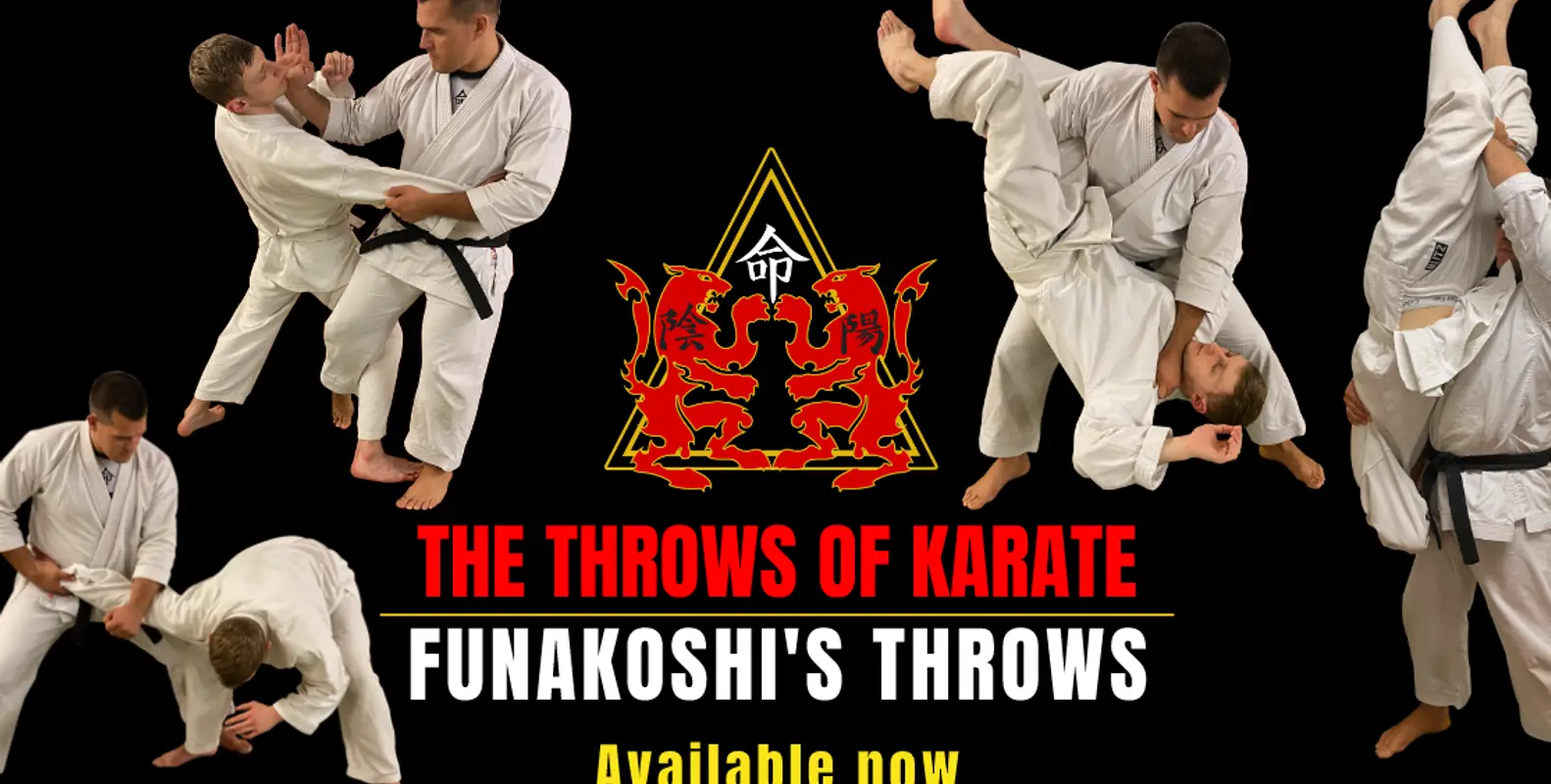 Seimeido Karate Jutsu