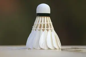 Longmeadow Redditch Badminton Club