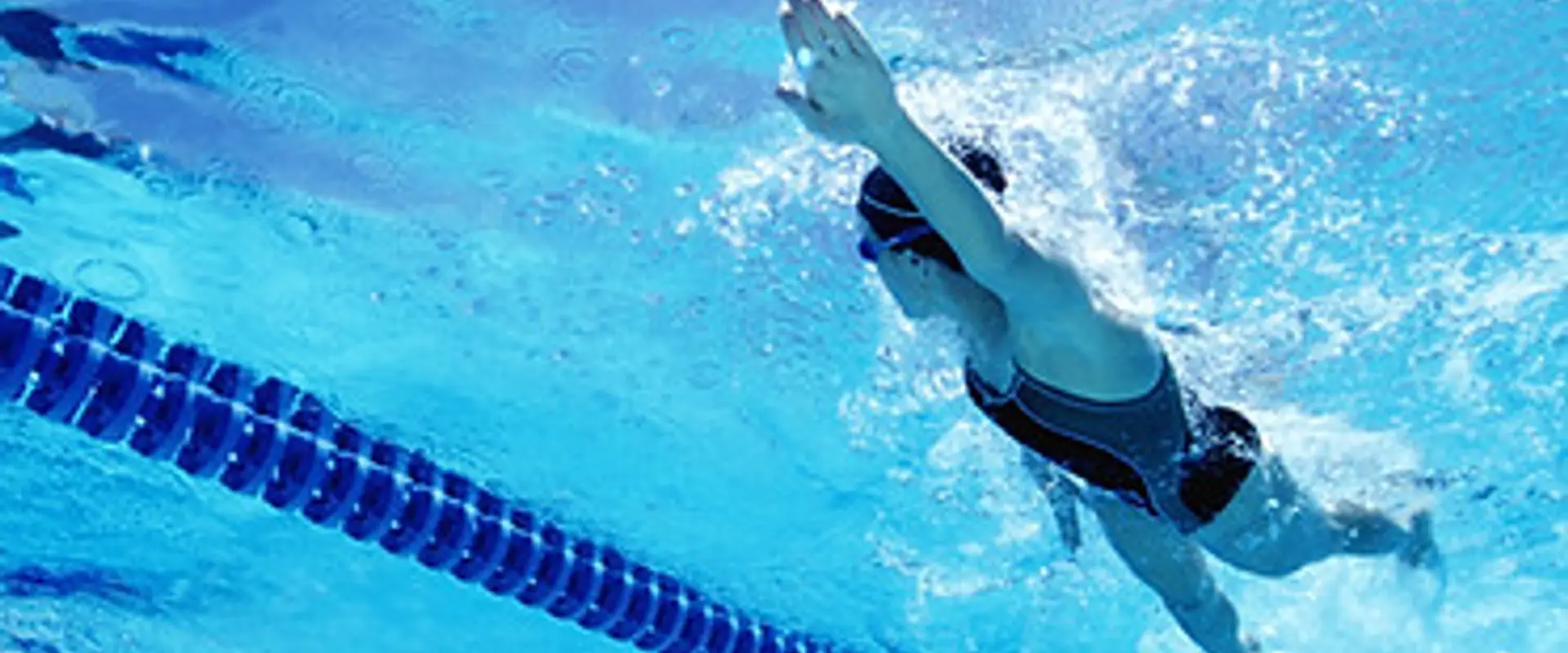 Swim with Style Swimming Lesson Franchise