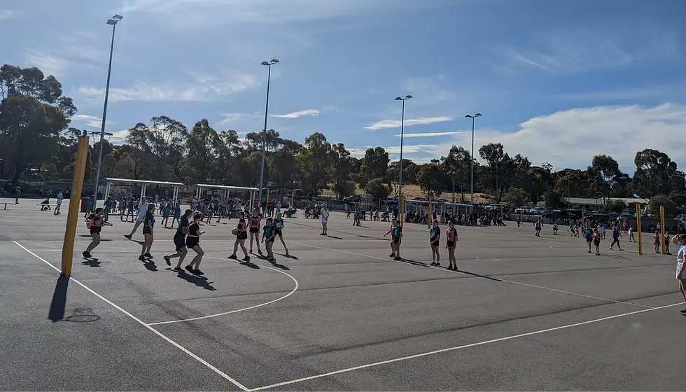 Bendigo Strathdale Netball Association (BSNA)