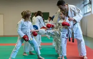 Karate Lyon Course Karate Children And Adults