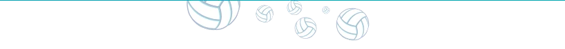 Agreement Forézienne Of Volleyball - Efvb