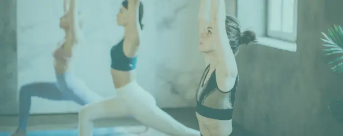 Danu Yoga Centre