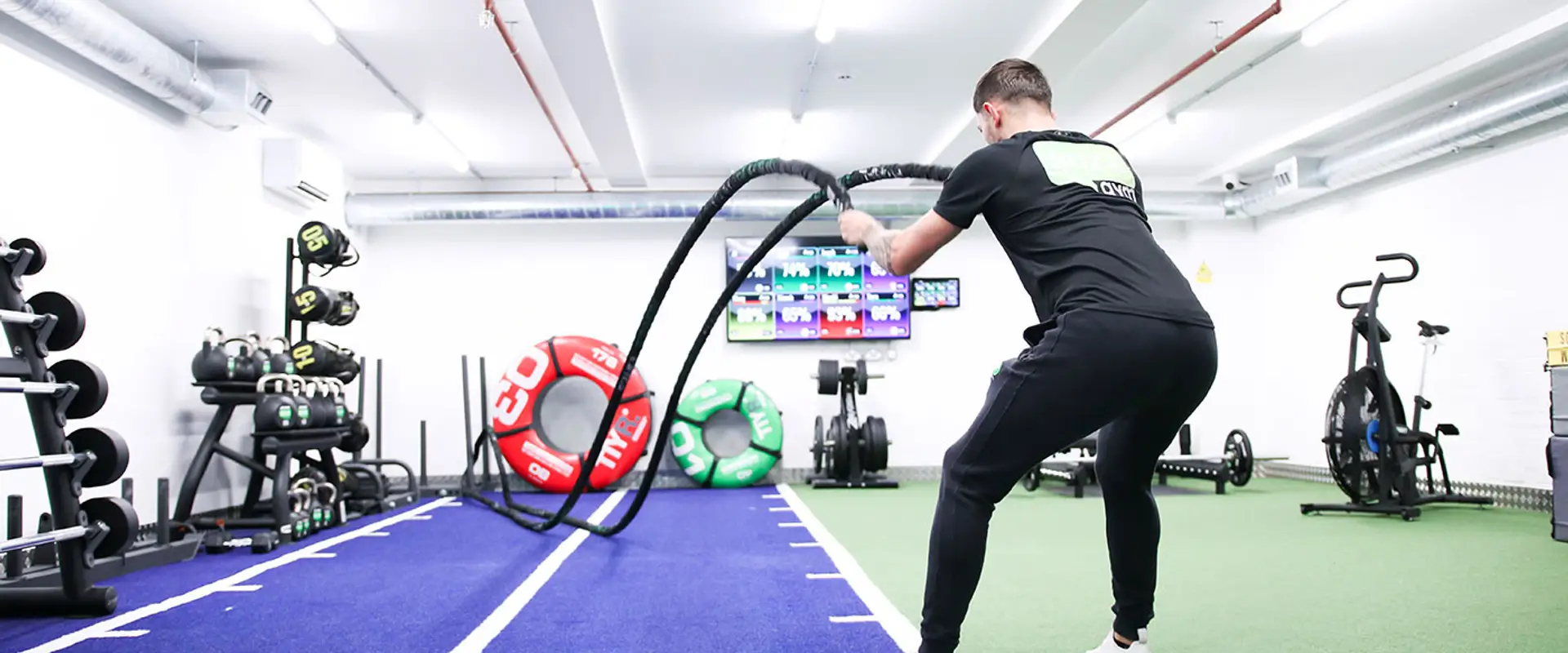 Buzz Gym