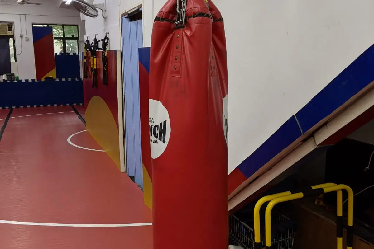 Synergy BJJ MMA Academy Singapore