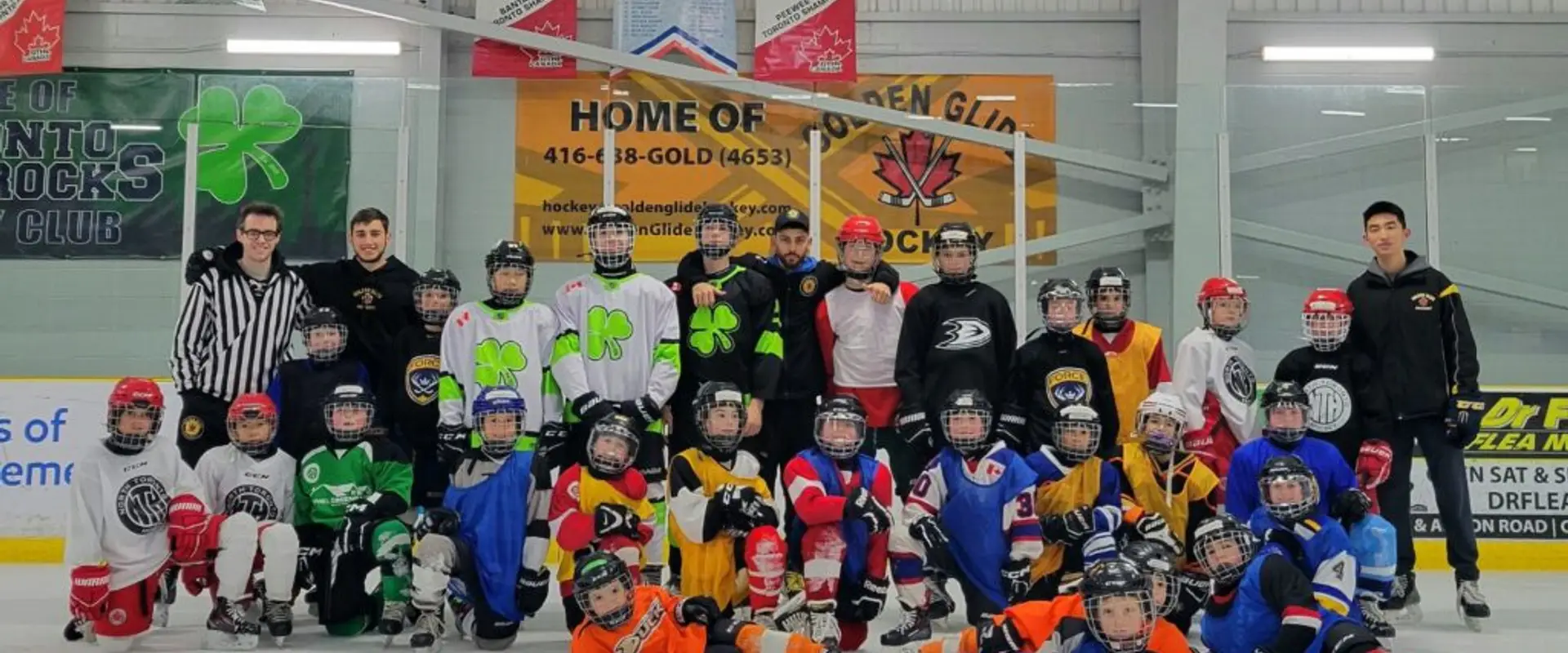 Golden Glide Hockey
