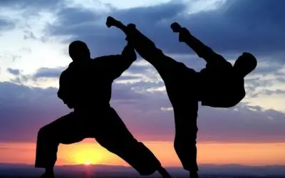 Dojo Bordeaux Talence Métropole