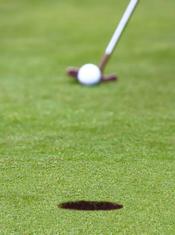 Mount Forest Golf Club