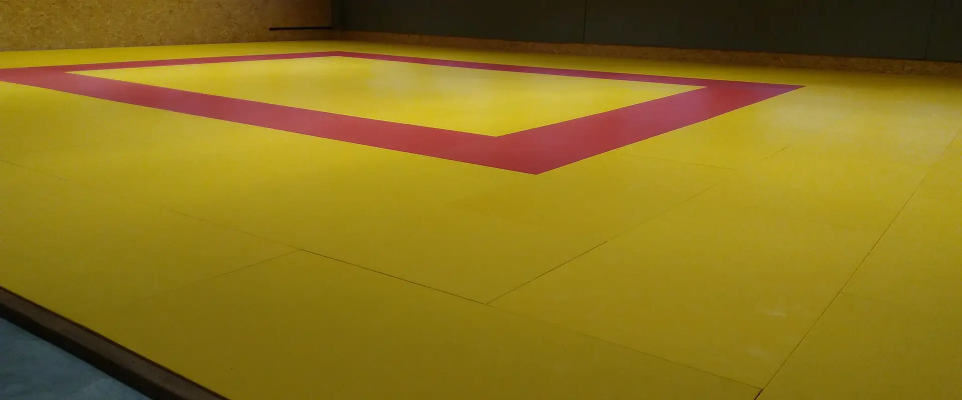 École de Judo de Briatexte