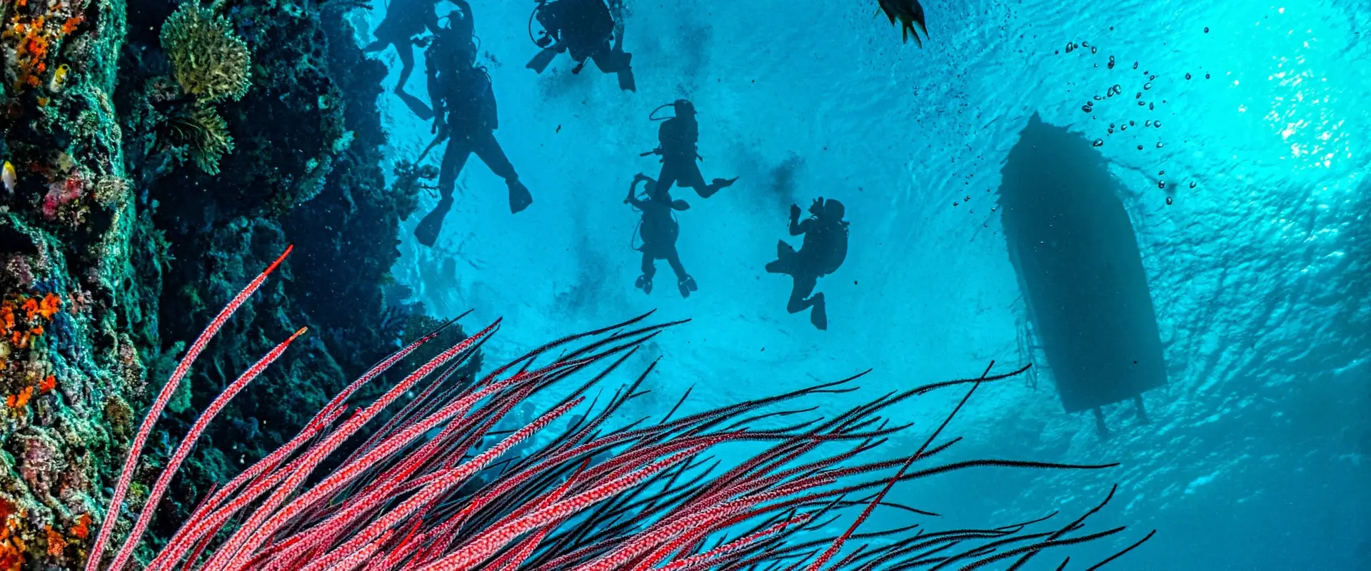 Marlin's Scuba Inc