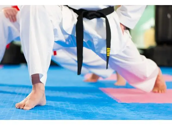 Premier Dojang