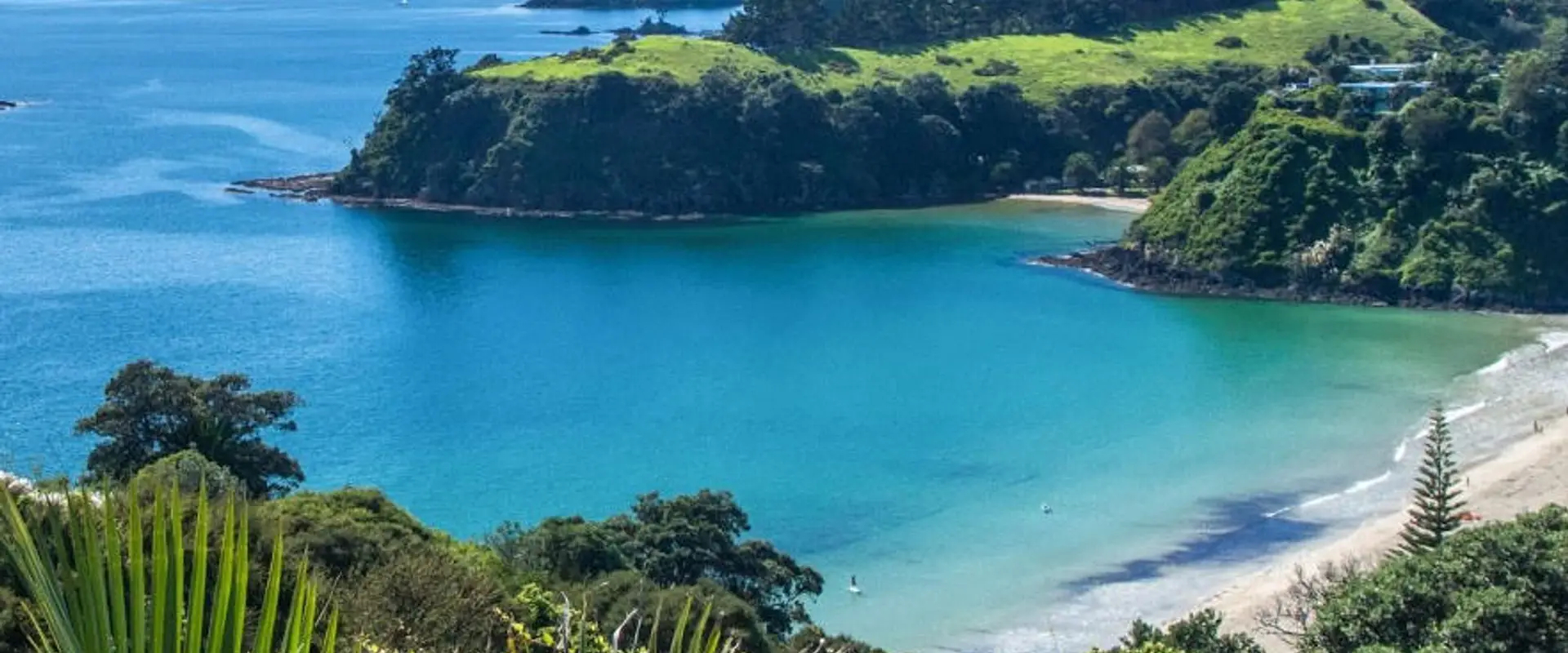 Waiheke Bridge Club