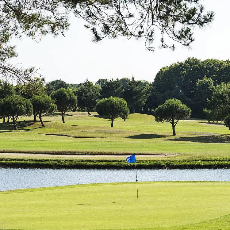 Golfsup