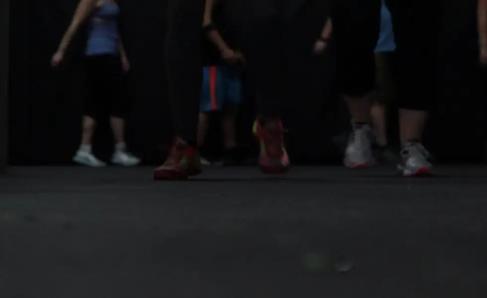 Evolution of Fitness