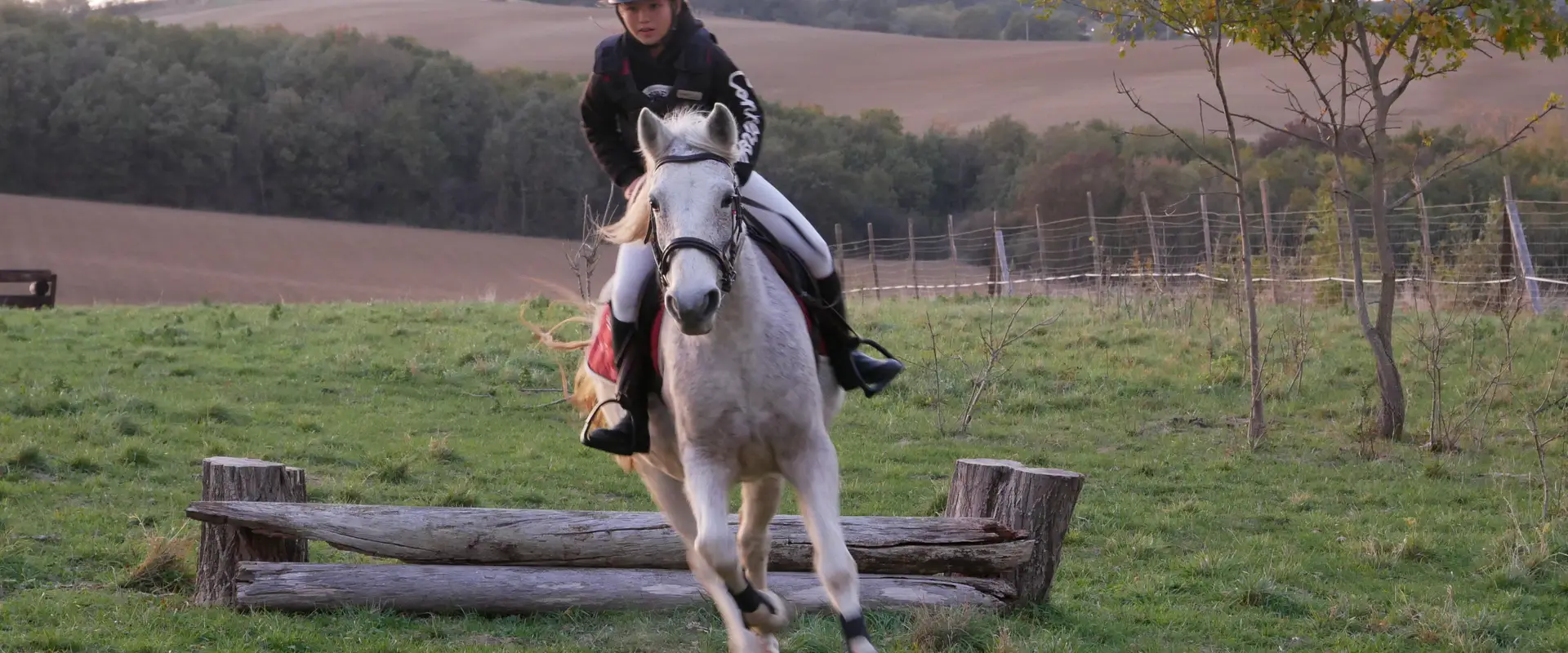 Le Poney Bleu