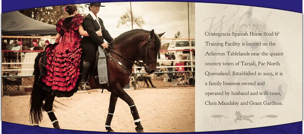 Cristogracia