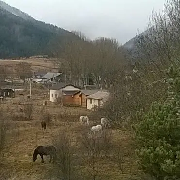 Association aventure sans frontières