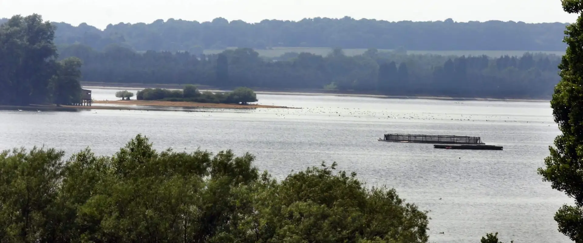 Hanningfield Waterside Park