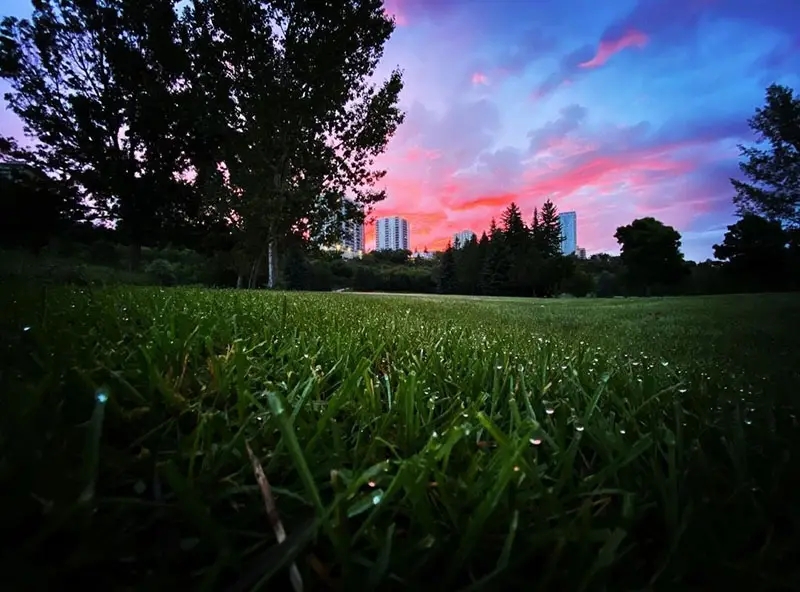 Rundle Park Golf Course