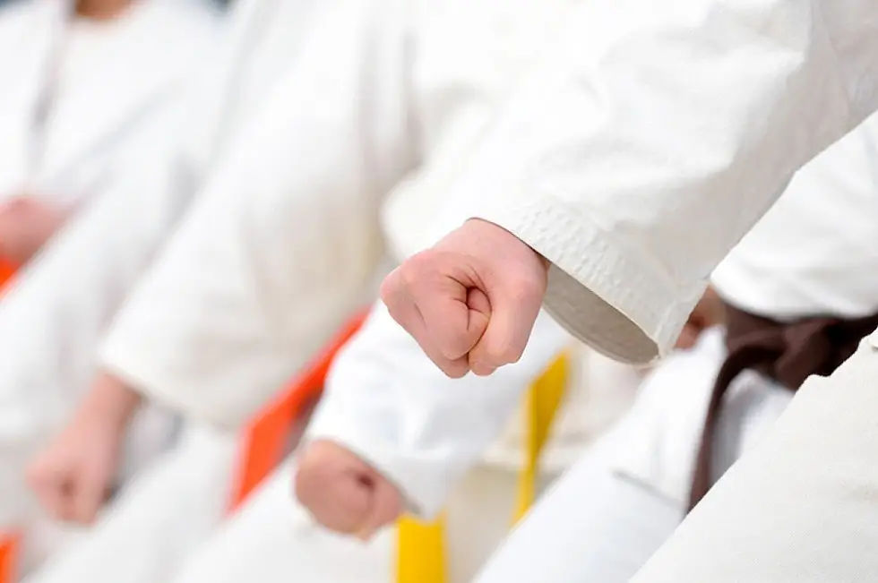 Matsuri Dojo Highams Park