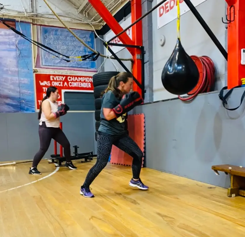 Revenge Boxing