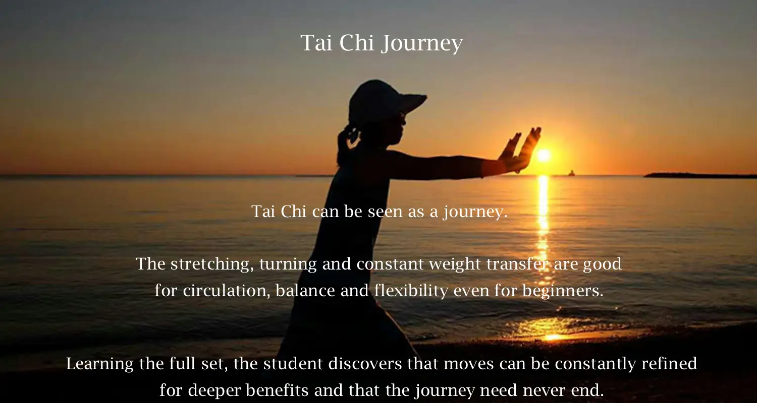 Tai Chi Journey Vaughan