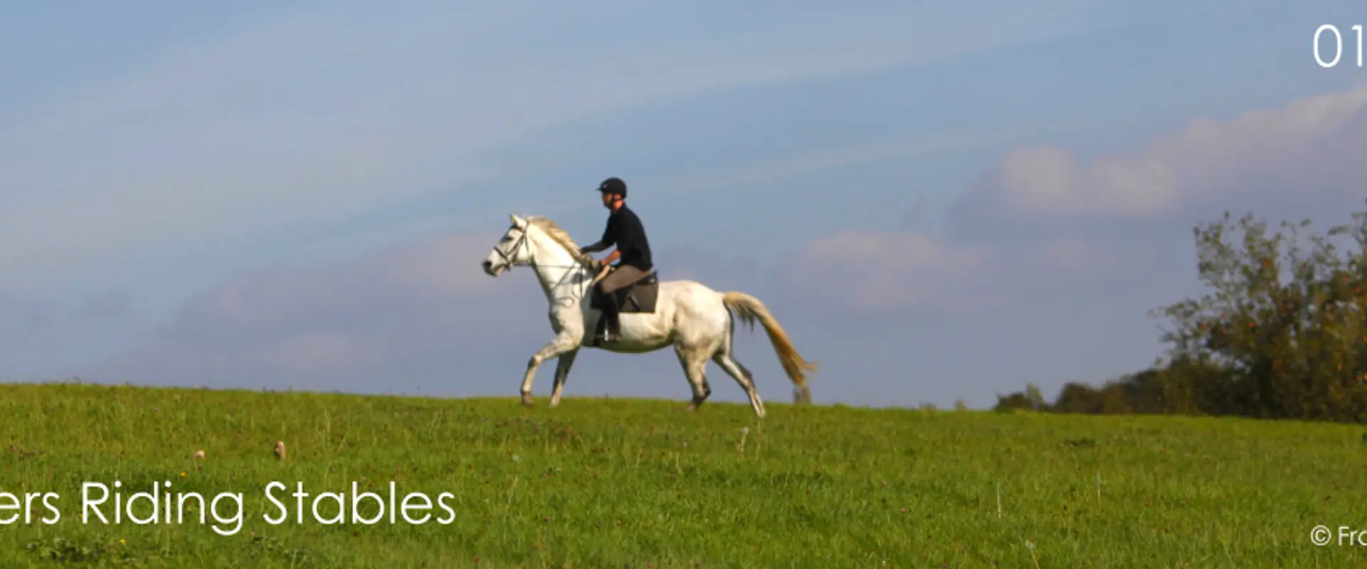 Palmers Riding Stables