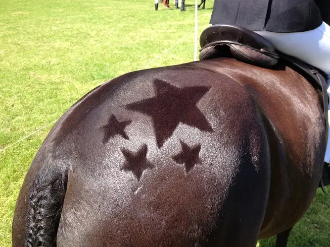 The Paddocks Riding Centre
