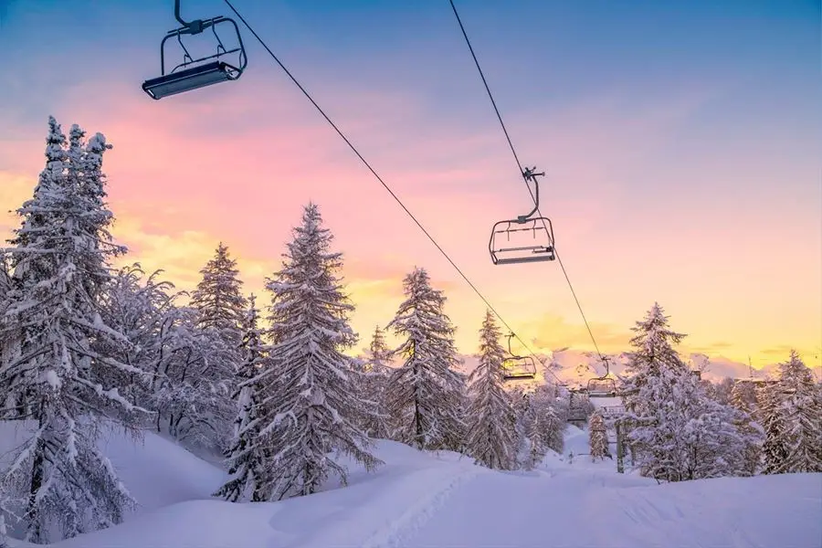 Syndicat International des Moniteurs de Ski - SIMS