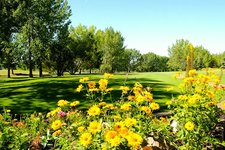 North Battleford Golf & Country Club