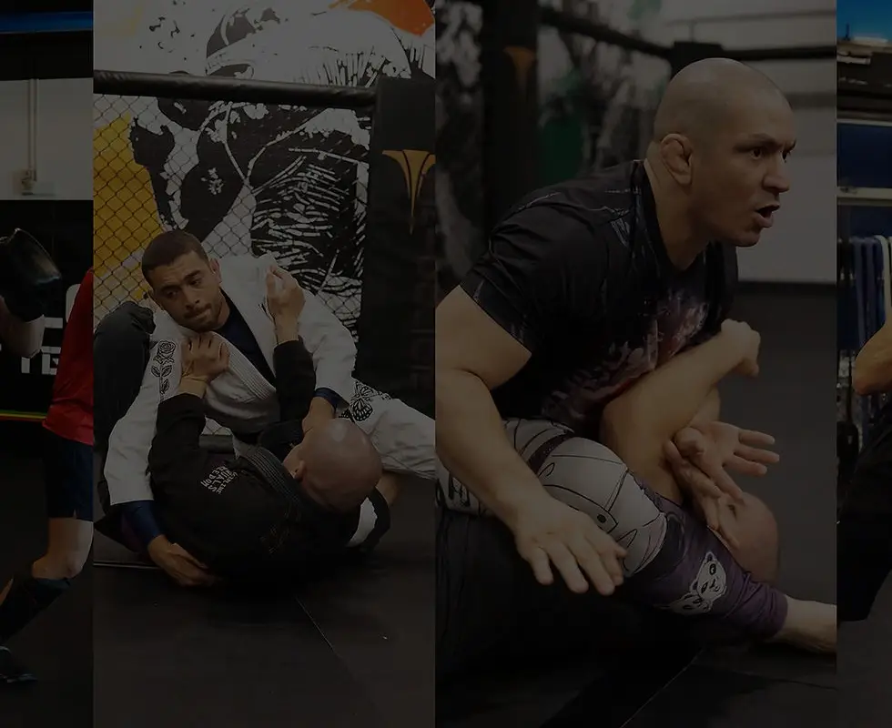 Tricolor MMA